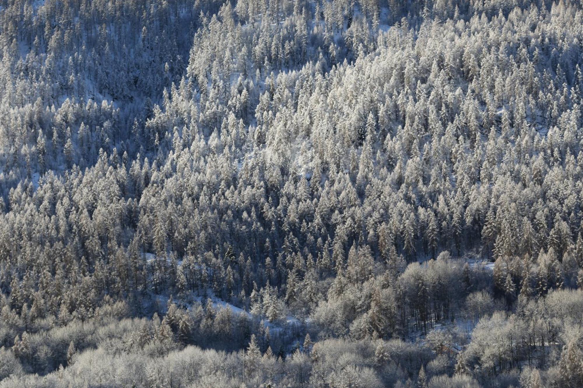 Maison De Montagne Serre Chevalier Saint-Chaffrey Εξωτερικό φωτογραφία